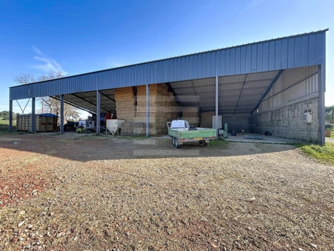 Photos 8 - Agricole - Terrain agricole