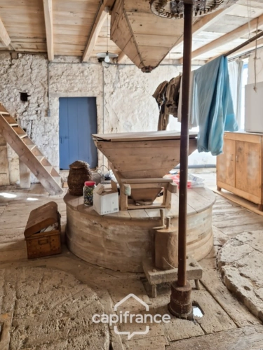 Photos 9 - Prestige - Propriété à vendre 7 pièces SAINT PARDOULT (17) sur plus de 2 hectares de terrain