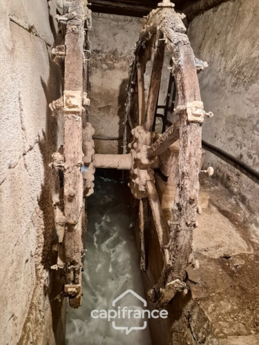 Photos 17 - Prestige - Propriété à vendre 7 pièces SAINT PARDOULT (17) sur plus de 2 hectares de terrain