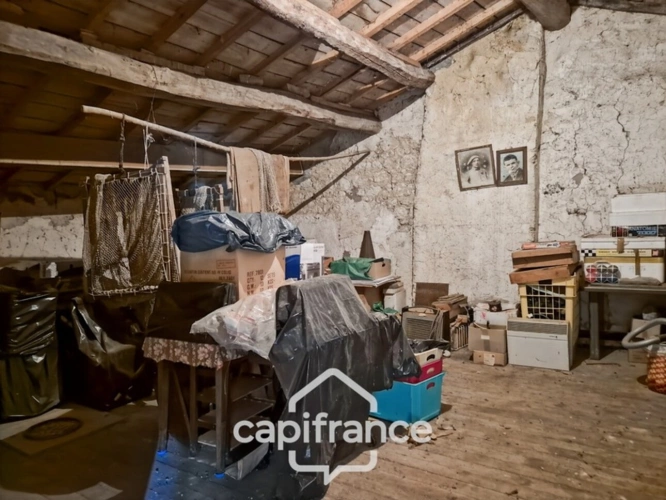 Photos 19 - Prestige - Propriété à vendre 7 pièces SAINT PARDOULT (17) sur plus de 2 hectares de terrain