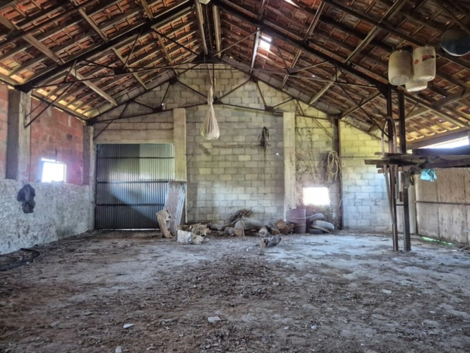 Photos 19 - Rurale - Corps de Ferme, écrin de verdure, 250 m2 habitables, 18 000 m2 de terrain, 400 m2 de dépendances, 20 mn Angoulême centre