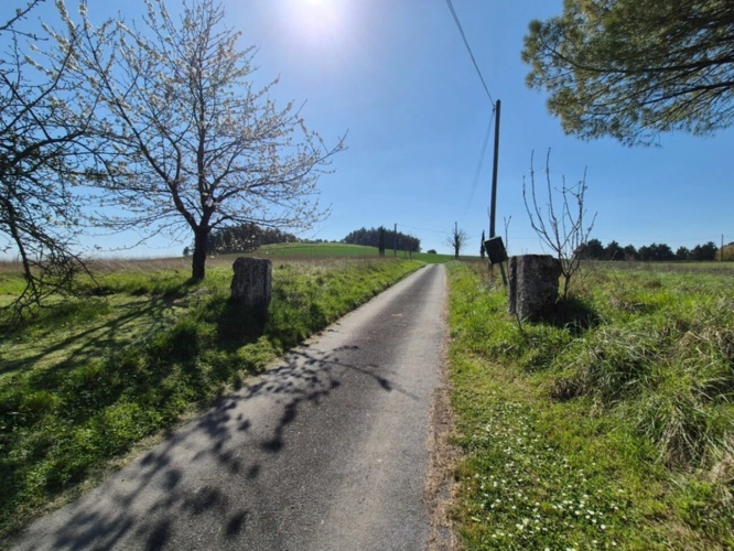 Photos 27 - Rurale - Corps de Ferme, écrin de verdure, 250 m2 habitables, 18 000 m2 de terrain, 400 m2 de dépendances, 20 mn Angoulême centre
