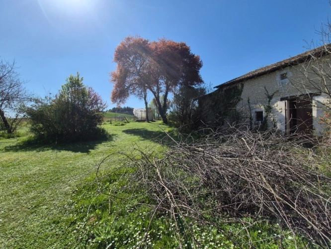 Photos 28 - Rurale - Corps de Ferme, écrin de verdure, 250 m2 habitables, 18 000 m2 de terrain, 400 m2 de dépendances, 20 mn Angoulême centre
