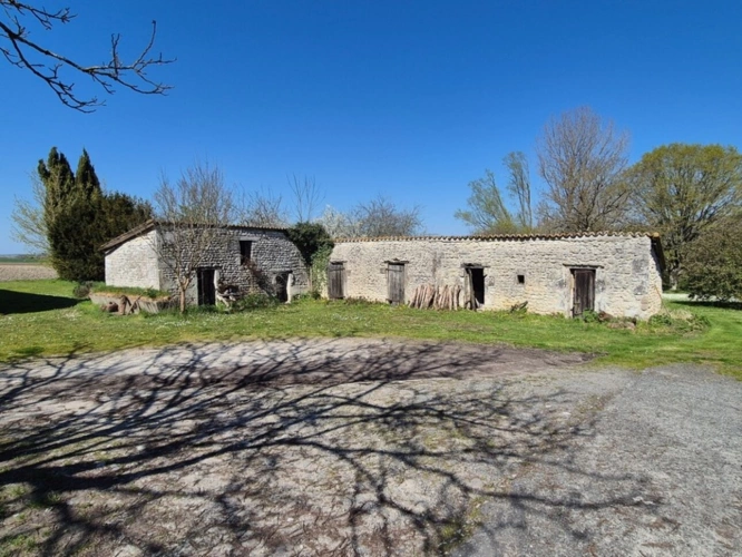 Photos 32 - Rurale - Corps de Ferme, écrin de verdure, 250 m2 habitables, 18 000 m2 de terrain, 400 m2 de dépendances, 20 mn Angoulême centre
