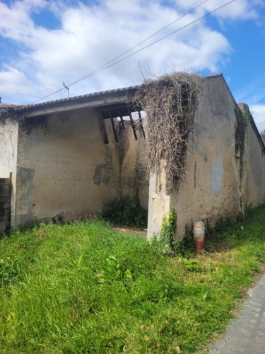 Photos 2 - Rurale - batisse a vendre avec jardin