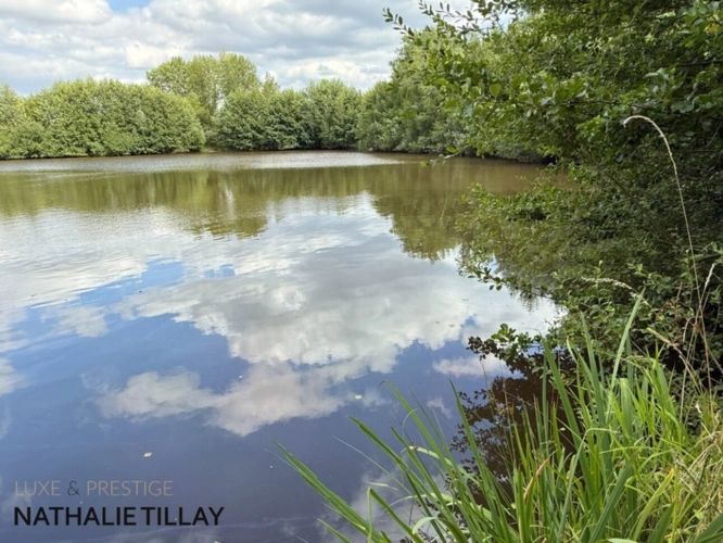 Photos 3 - Prestige - Plateau de Sologne, propriété d'agrément a vendre : Parc de 33 ha, piscine, tennis, biotope Solognot: bois, foret , prairies , étangs , petite chasse et peche. Proche Orleans