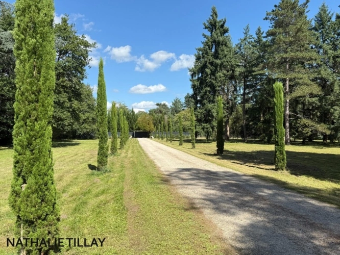 Photos 10 - Prestige - Plateau de Sologne, propriété d'agrément a vendre : Parc de 33 ha, piscine, tennis, biotope Solognot: bois, foret , prairies , étangs , petite chasse et peche. Proche Orleans