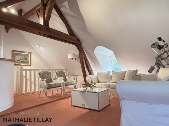 Photos 21 - Prestige - Plateau de Sologne, propriété d'agrément a vendre : Parc de 33 ha, piscine, tennis, biotope Solognot: bois, foret , prairies , étangs , petite chasse et peche. Proche Orleans