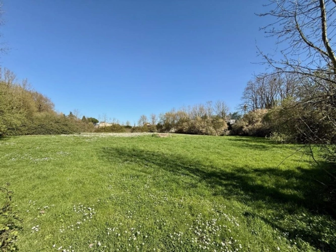 Photos 3 - Prestige - Maison