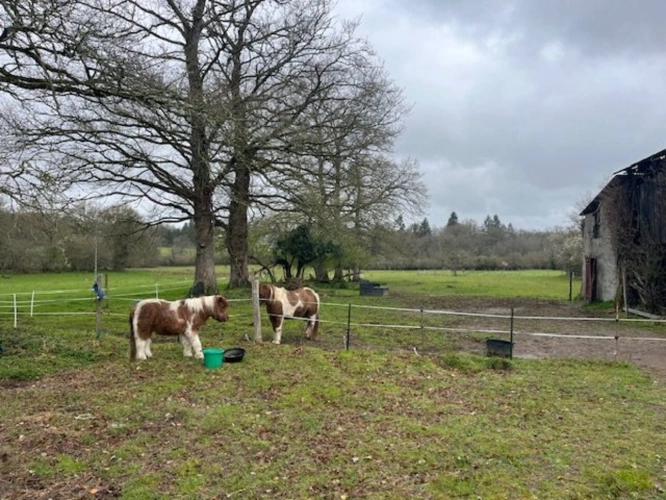 Photos 2 - Rurale - Corps de ferme