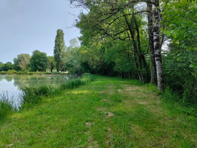 Photos 2 - Forestière - Propriété à vocation cynégétique à quelques kilomètres du coeur de la Brenne