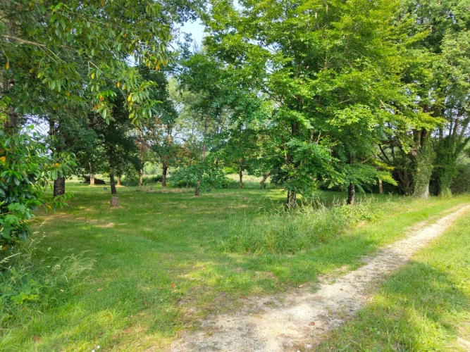 Photos 5 - Forestière - Propriété à vocation cynégétique à quelques kilomètres du coeur de la Brenne