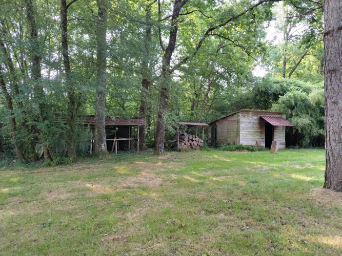 Photos 6 - Forestière - Propriété à vocation cynégétique à quelques kilomètres du coeur de la Brenne