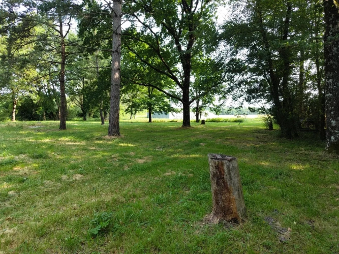 Photos 7 - Forestière - Propriété à vocation cynégétique à quelques kilomètres du coeur de la Brenne