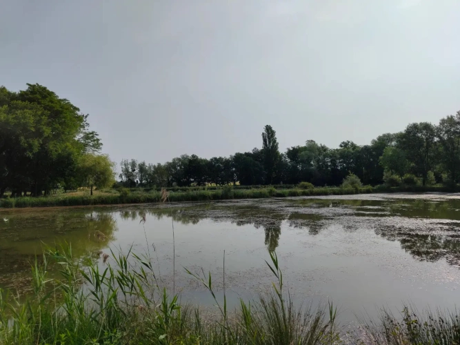 Photos 8 - Forestière - Propriété à vocation cynégétique à quelques kilomètres du coeur de la Brenne