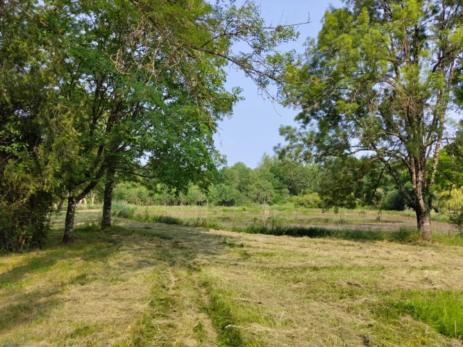 Photos 9 - Forestière - Propriété à vocation cynégétique à quelques kilomètres du coeur de la Brenne
