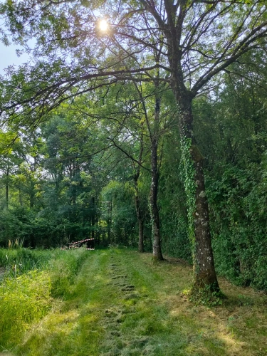Photos 10 - Forestière - Propriété à vocation cynégétique à quelques kilomètres du coeur de la Brenne