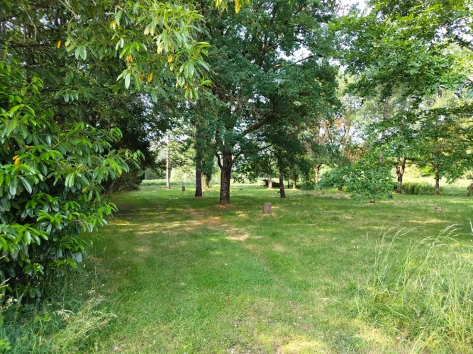 Photos 11 - Forestière - Propriété à vocation cynégétique à quelques kilomètres du coeur de la Brenne