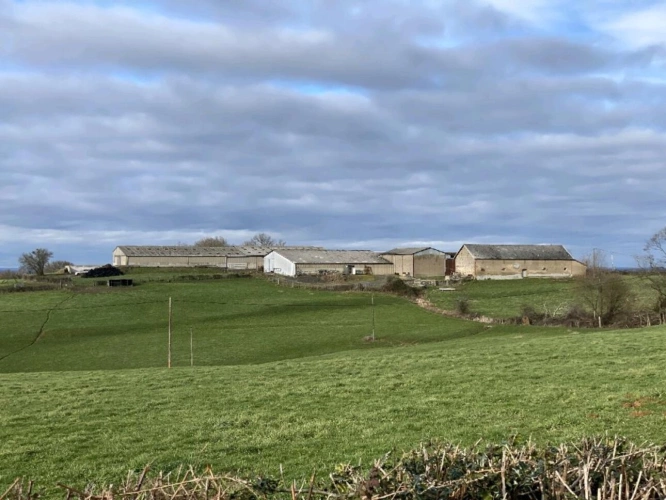 Photos 1 - Agricultural - SAONE ET LOIRE