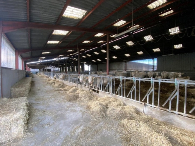 Photos 4 - Agricultural - SAONE ET LOIRE