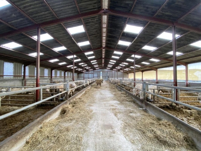 Photos 5 - Agricultural - SAONE ET LOIRE