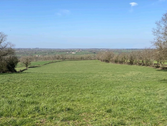 Photos 7 - Agricultural - SAONE ET LOIRE