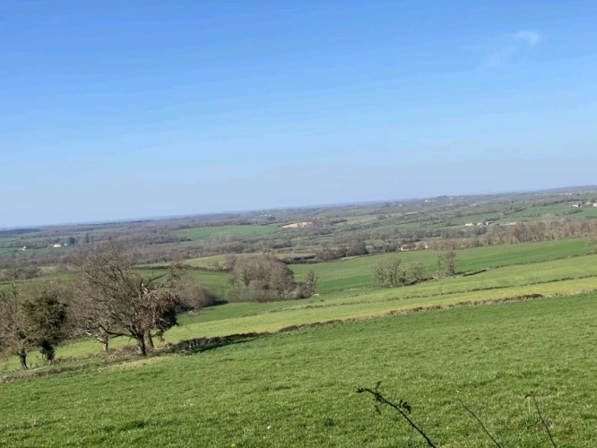 Photos 8 - Agricultural - SAONE ET LOIRE