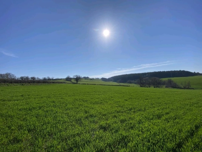 Photos 9 - Agricultural - SAONE ET LOIRE