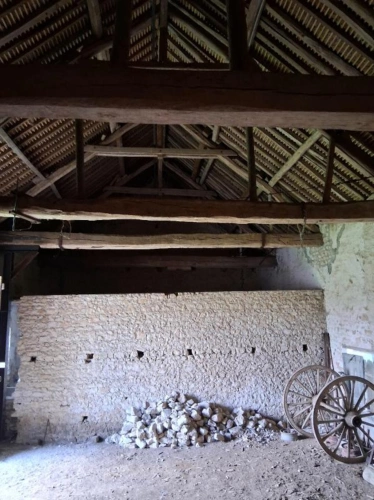 Photos 16 - Agricultural - Agriculture/Viticulture