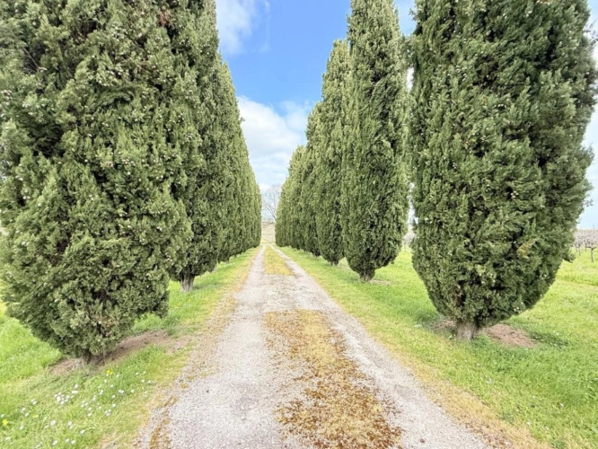 Photos 6 - Prestige - Maison