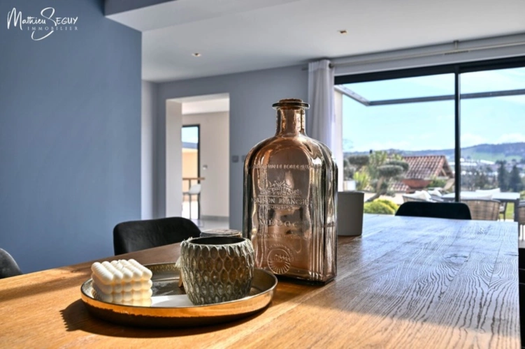 Photos 8 - Prestige - Propriete de Prestige à THURINS (69)