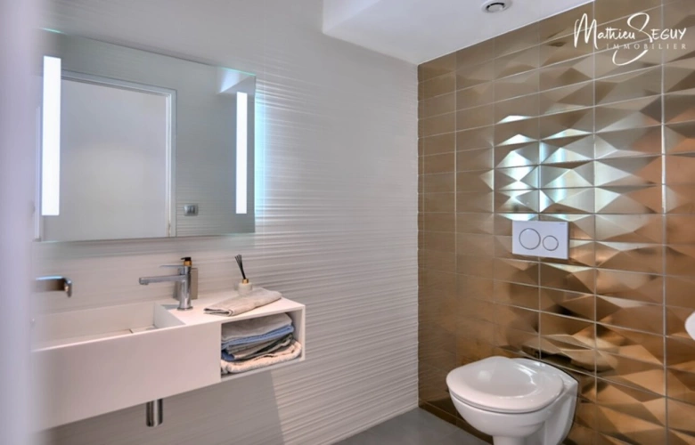 Photos 49 - Prestige - Propriete de Prestige à THURINS (69)