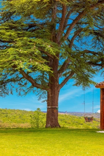 Photos 25 - Touristique - Proprieté de plus de 700m2 habitables sur 1,24 hectare de terrain, piscine et vue exceptionnelle