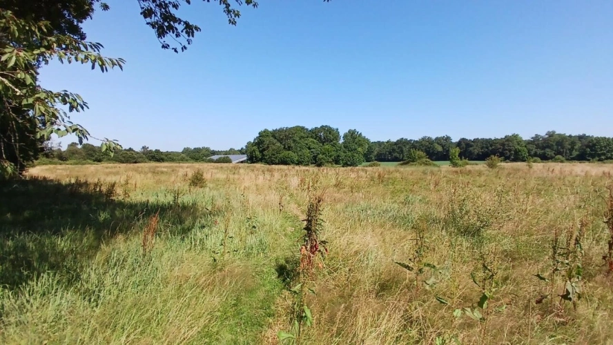 Photos 3 - Équestre - Maison