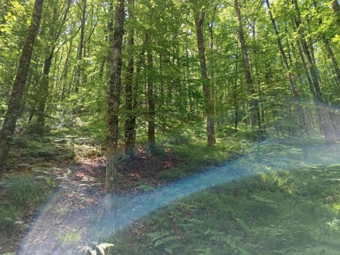 Photos 10 - Rurale - Maison et terrain