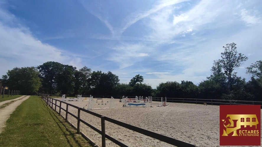 Photos 1 - Équestre - Charmante propriété équestre 3,5 hectares