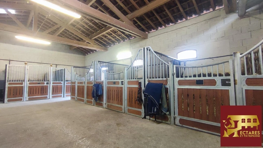 Photos 2 - Équestre - Charmante propriété équestre 3,5 hectares