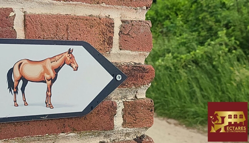 Photos 8 - Équestre - Charmante propriété équestre 3,5 hectares