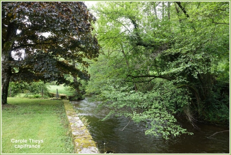 Photos 14 - Prestige - Dpt Creuse (23), à vendre FELLETIN propriete P9 de 342 m² - Dépendances - Terrain de 11 757 m²