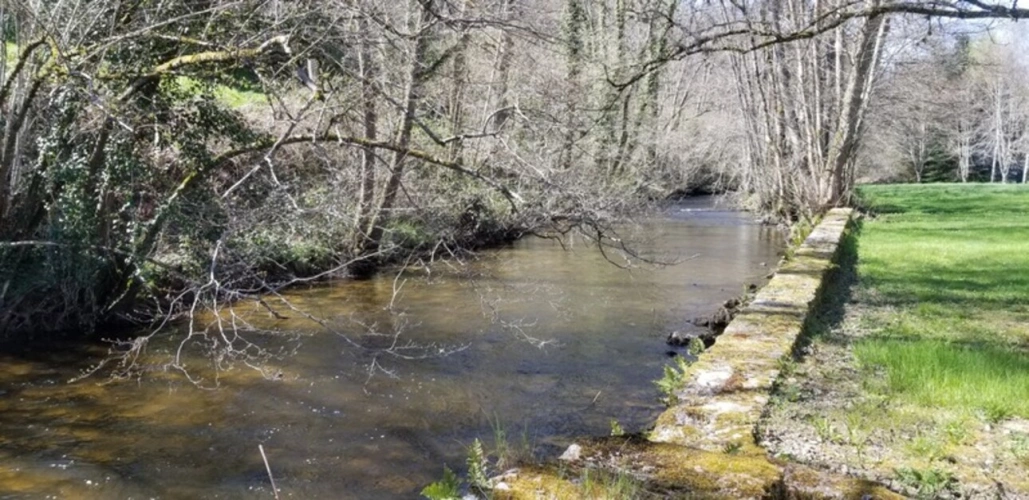 Photos 17 - Prestige - Dpt Creuse (23), à vendre FELLETIN propriete P9 de 342 m² - Dépendances - Terrain de 11 757 m²