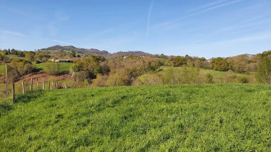 Photos 8 - Rurale - Ferme agricole et maison à vendre au Pays Basque.