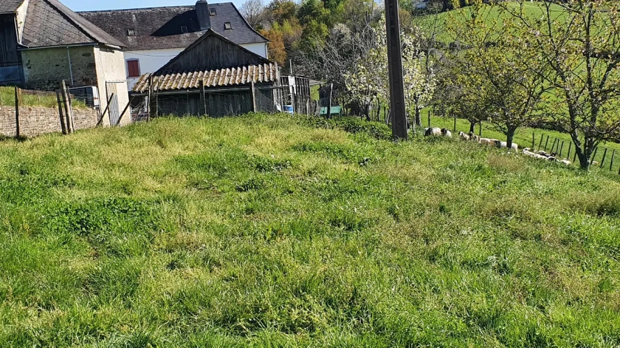 Photos 9 - Rurale - Ferme agricole et maison à vendre au Pays Basque.