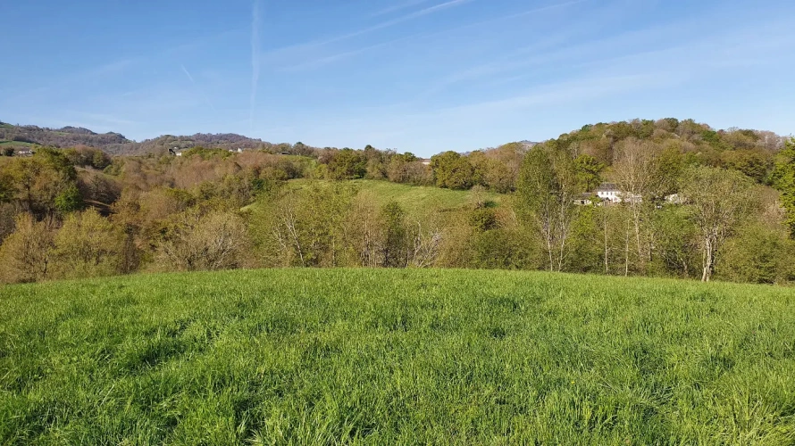 Photos 11 - Rurale - Ferme agricole et maison à vendre au Pays Basque.
