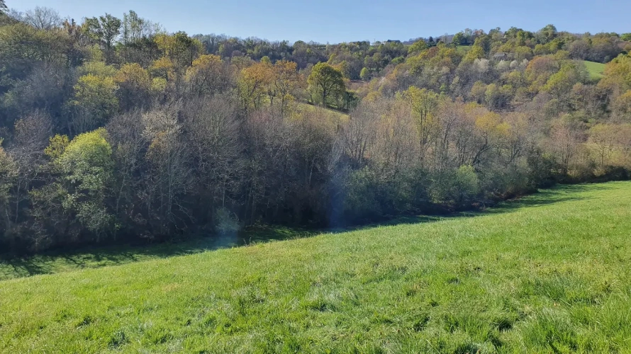 Photos 12 - Rurale - Ferme agricole et maison à vendre au Pays Basque.