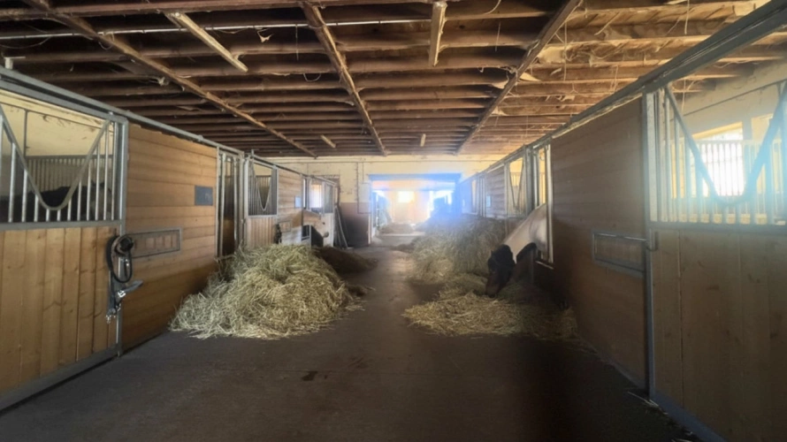 Photos 7 - Équestre - Aveyron : propriété équestre avec habitations, gîtes et 6,5 hectares (12)