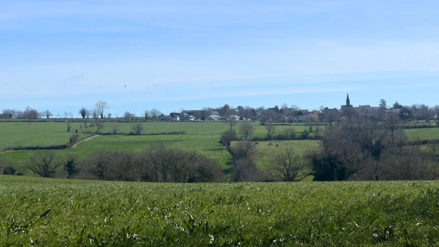 Photos 10 - Équestre - Aveyron : propriété équestre avec habitations, gîtes et 6,5 hectares (12)