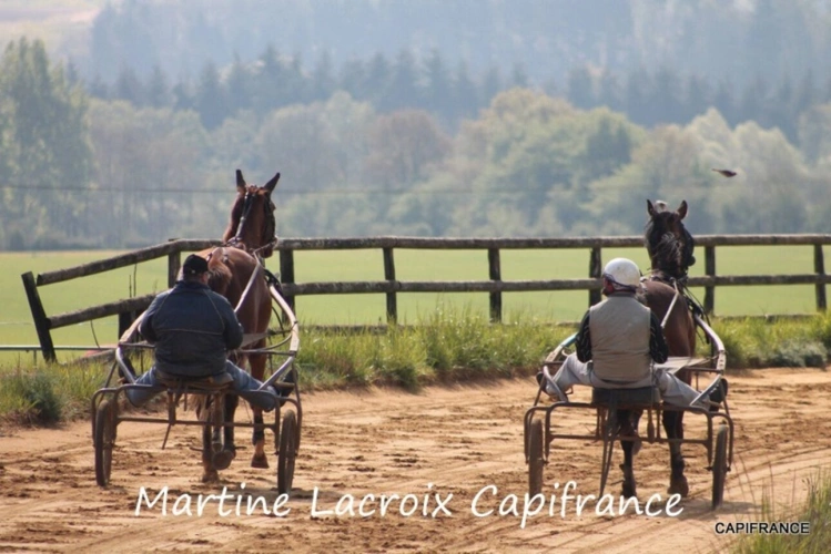 Photos 15 - Équestre - Dpt SARTHE (72), à vendre LA FERÉ-BERNARD - PROPRIÉTÉ  P5 de 100 m² - Terrain de 10 Ha