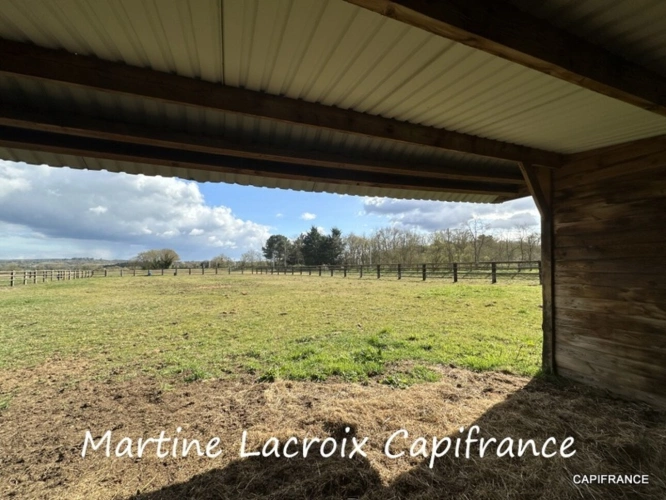 Photos 32 - Équestre - Dpt SARTHE (72), à vendre LA FERÉ-BERNARD - PROPRIÉTÉ  P5 de 100 m² - Terrain de 10 Ha