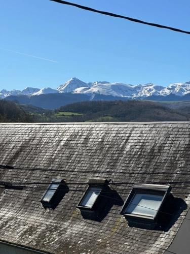 Photos 23 - Touristique - Propriete à vendre 11 pièces ORINCLES (65)