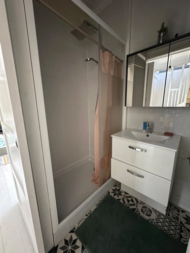 Photos 29 - Touristique - Propriete à vendre 11 pièces ORINCLES (65)